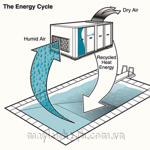 Hút ẩm ống nhiệt trong máy lạnh